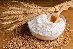 Wheat Flour from India